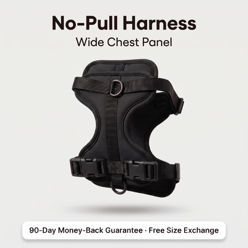 Fair Paw™ No-Pull Harness