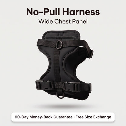 Fair Paw™ No-Pull Harness