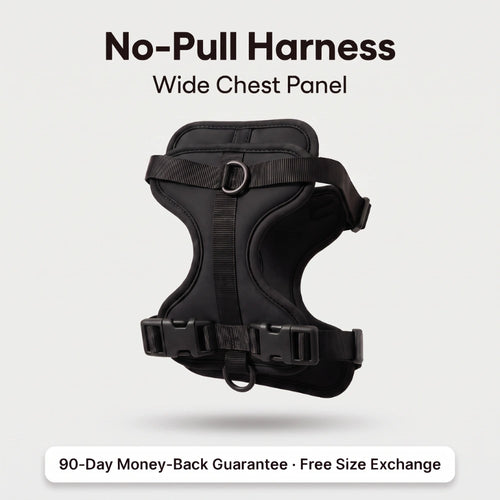 Fair Paw™ No-Pull Harness