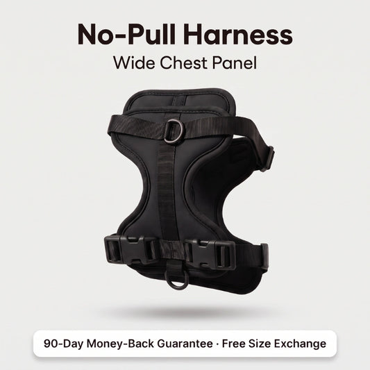 Fair Paw™ No-Pull Harness