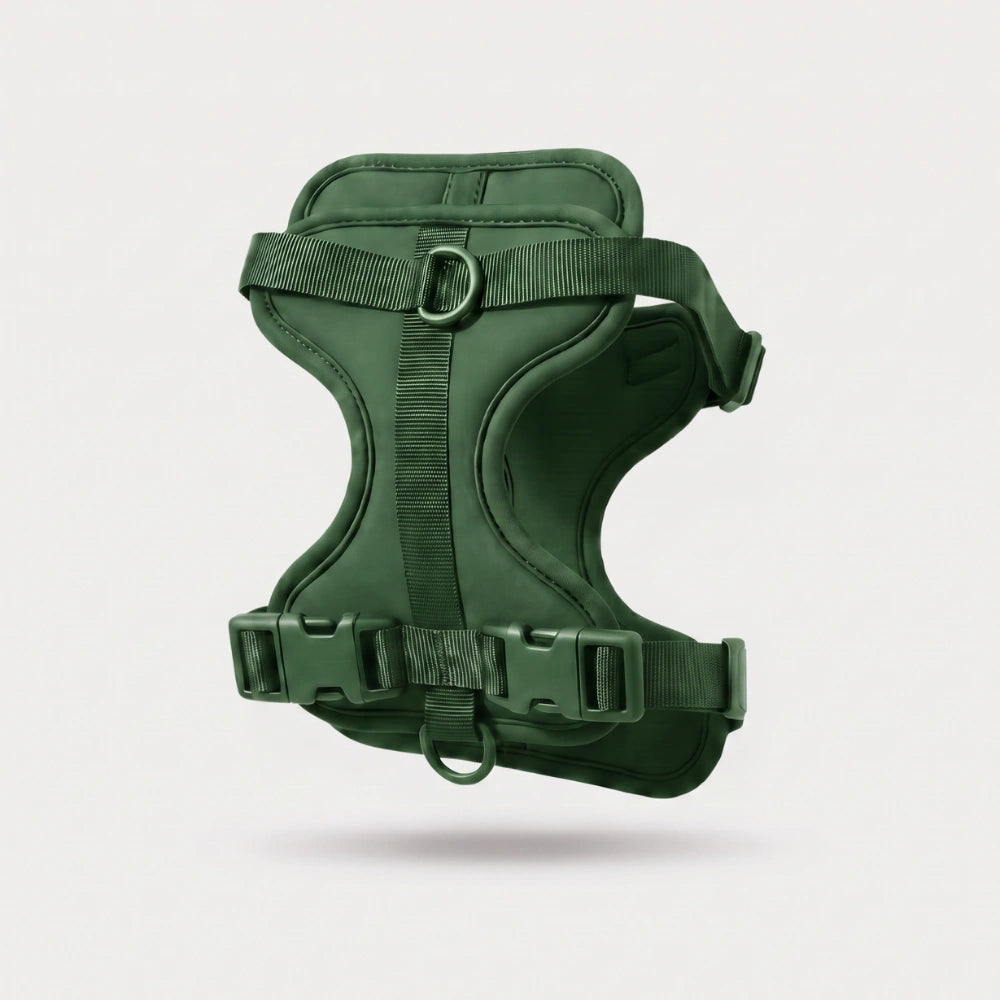 Fair Paw™ No-Pull Harness