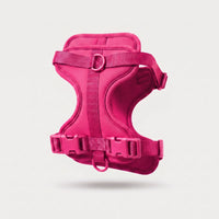Bright Pink