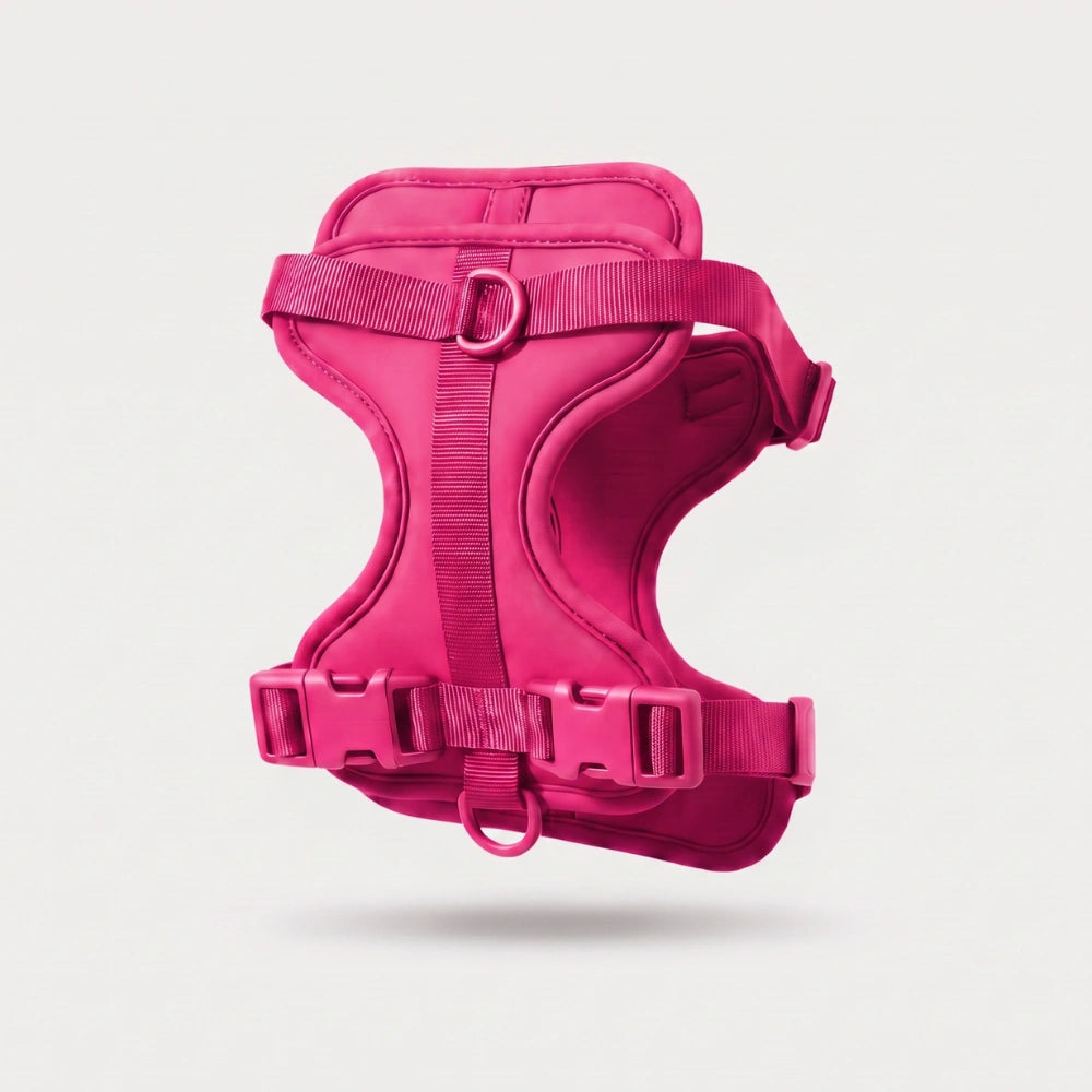 Fair Paw™ No-Pull Harness