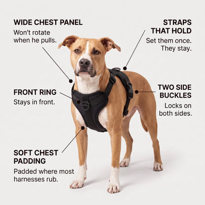 Fair Paw™ No-Pull Harness