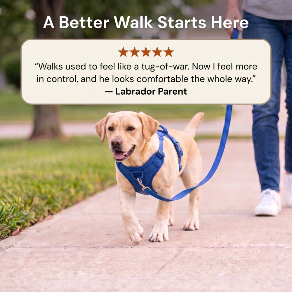Fair Paw™ No-Pull Harness