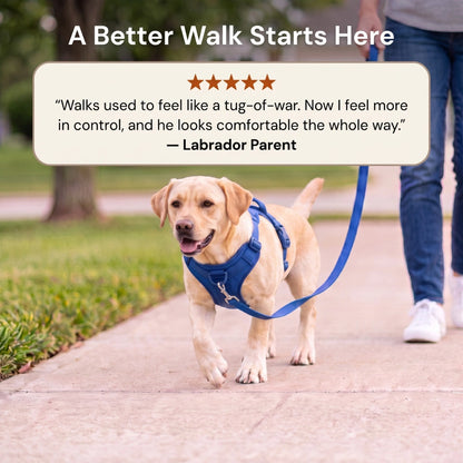Fair Paw™ No-Pull Harness