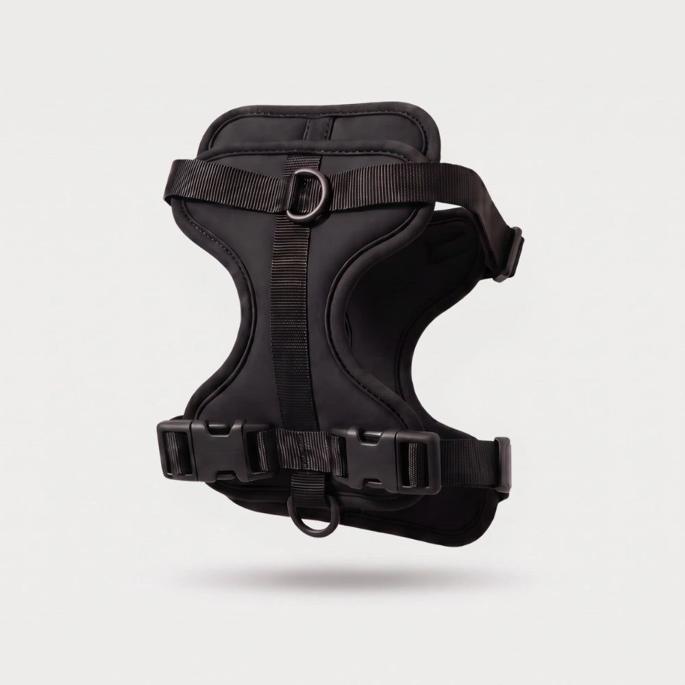 Fair Paw™ No-Pull Harness