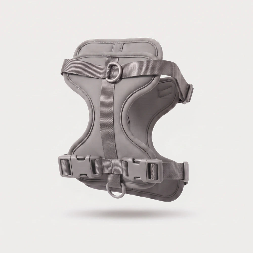 Fair Paw™ No-Pull Harness