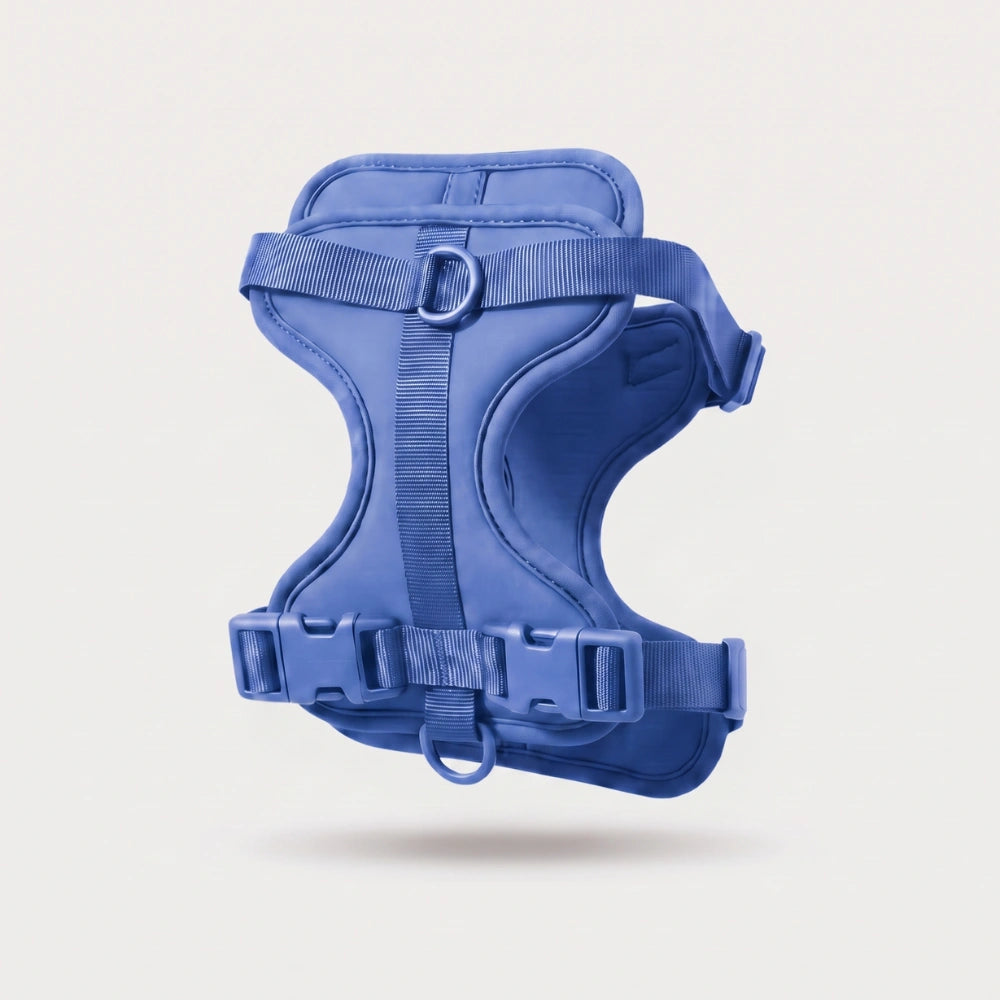 Fair Paw™ No-Pull Harness