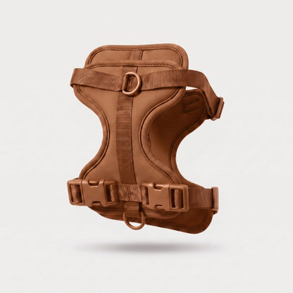 Fair Paw™ No-Pull Harness