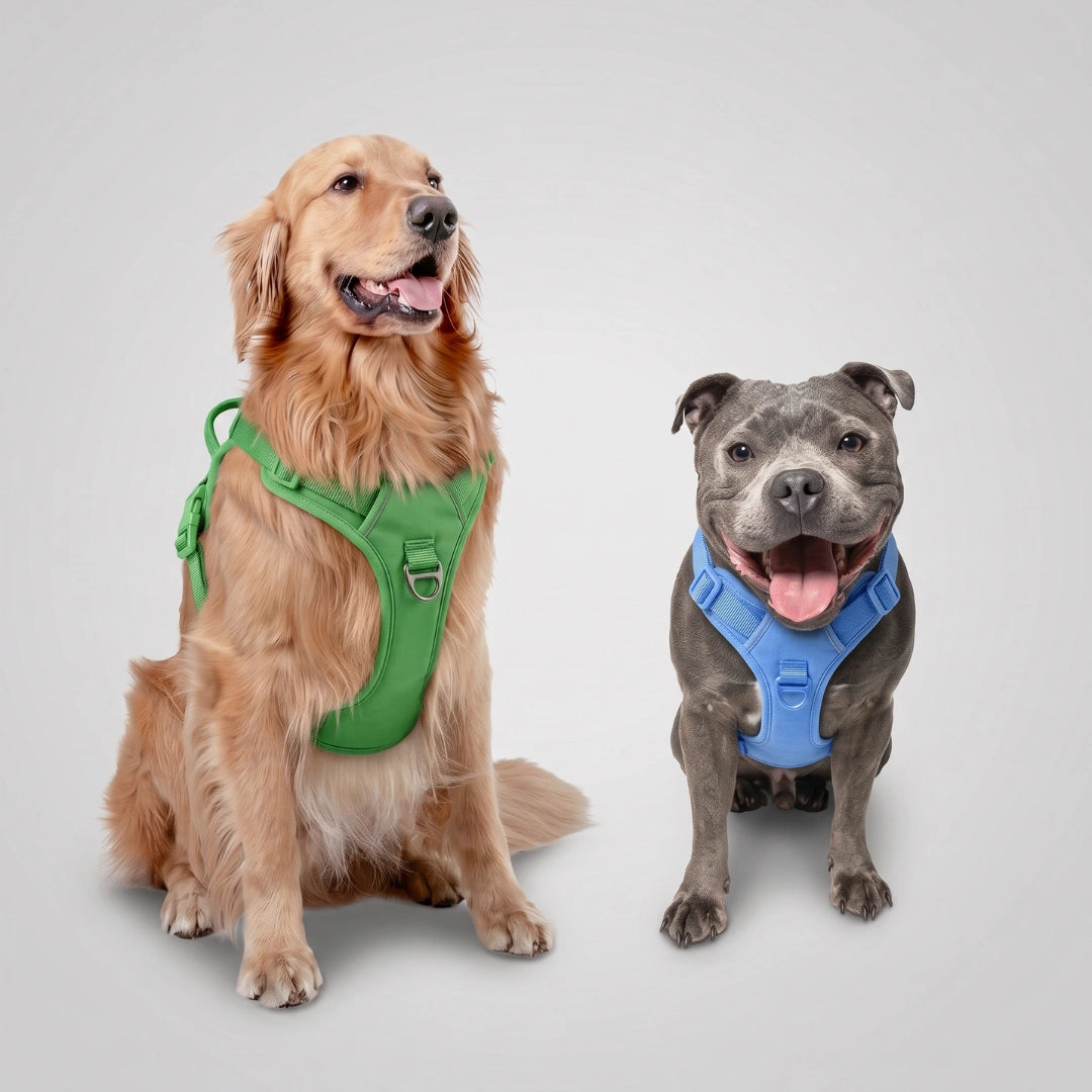 Dog Harness