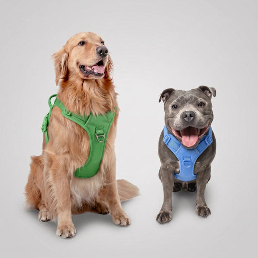 Dog Harness